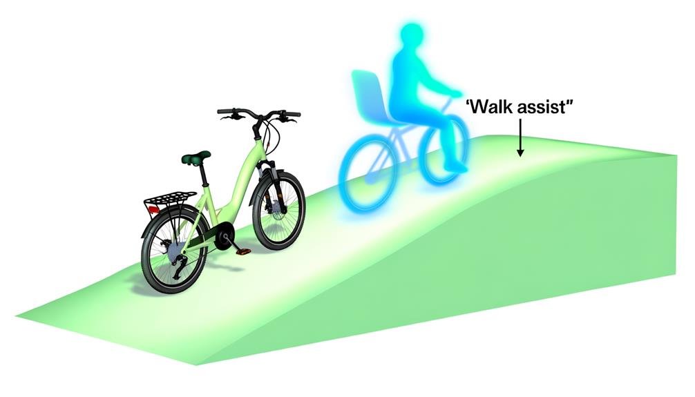 comparing start assist and walk assist
